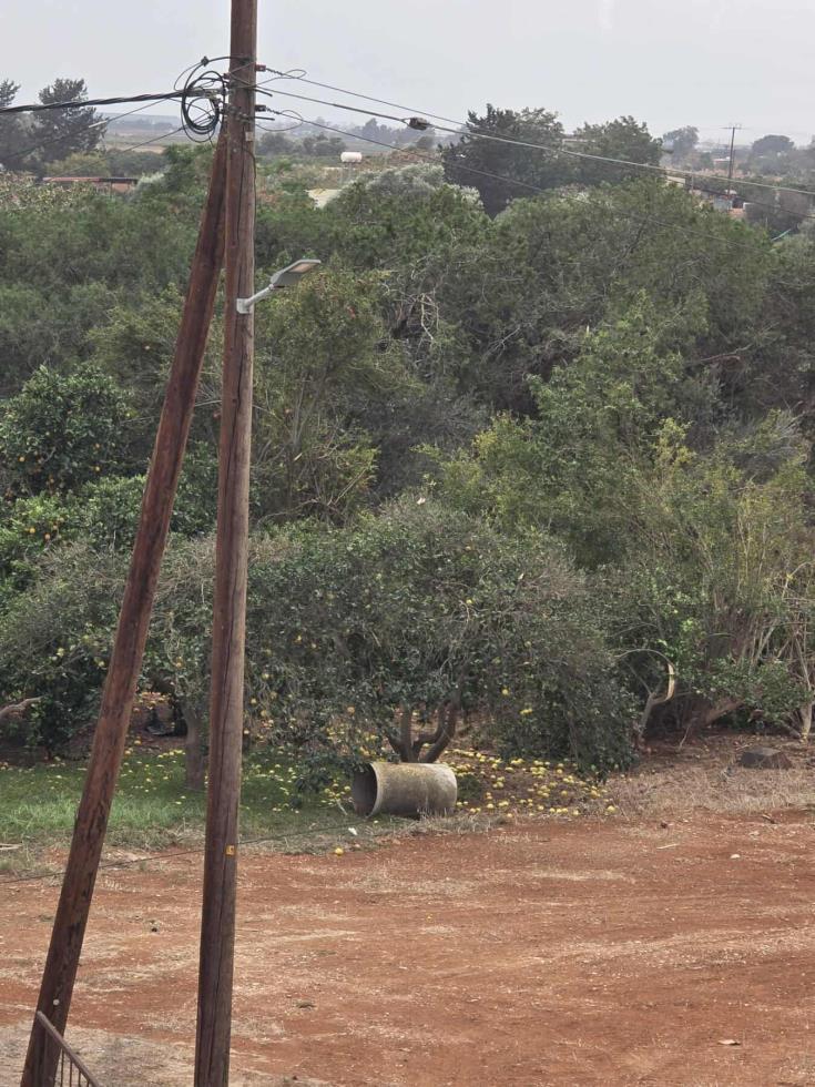 5333179615736534 image