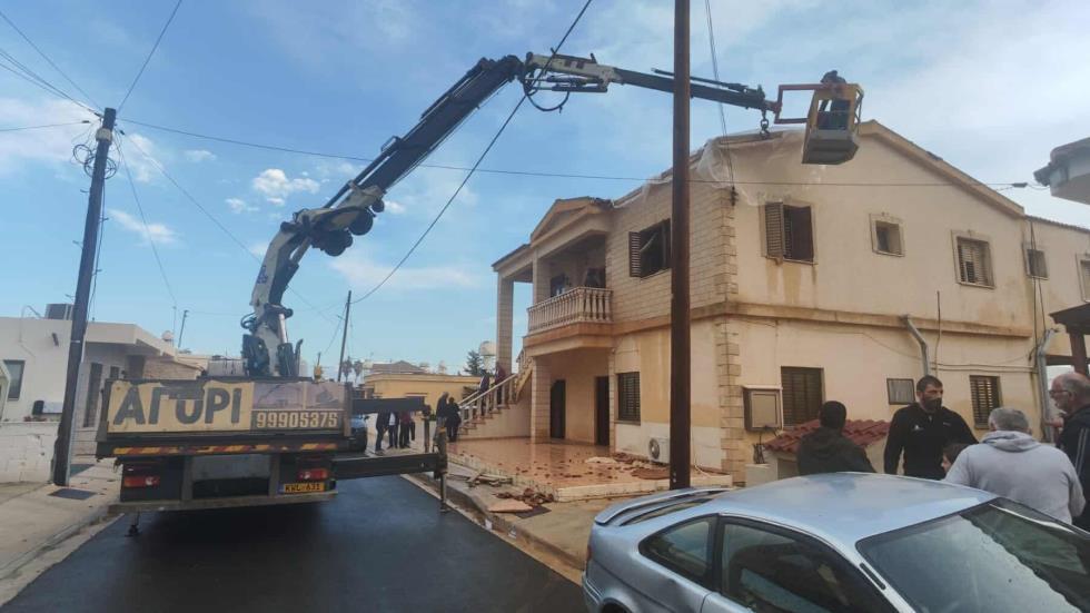 5333180906761208 image