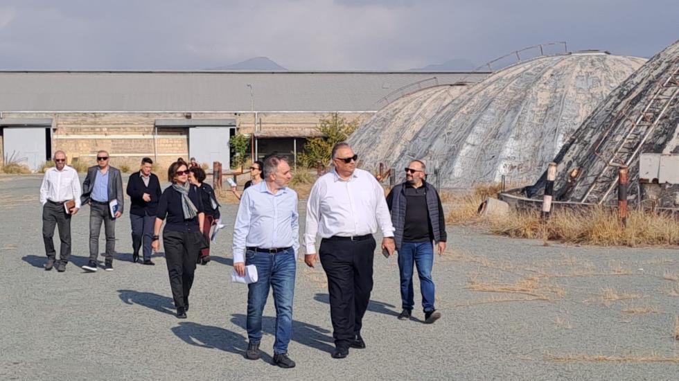 5333292736215895 image