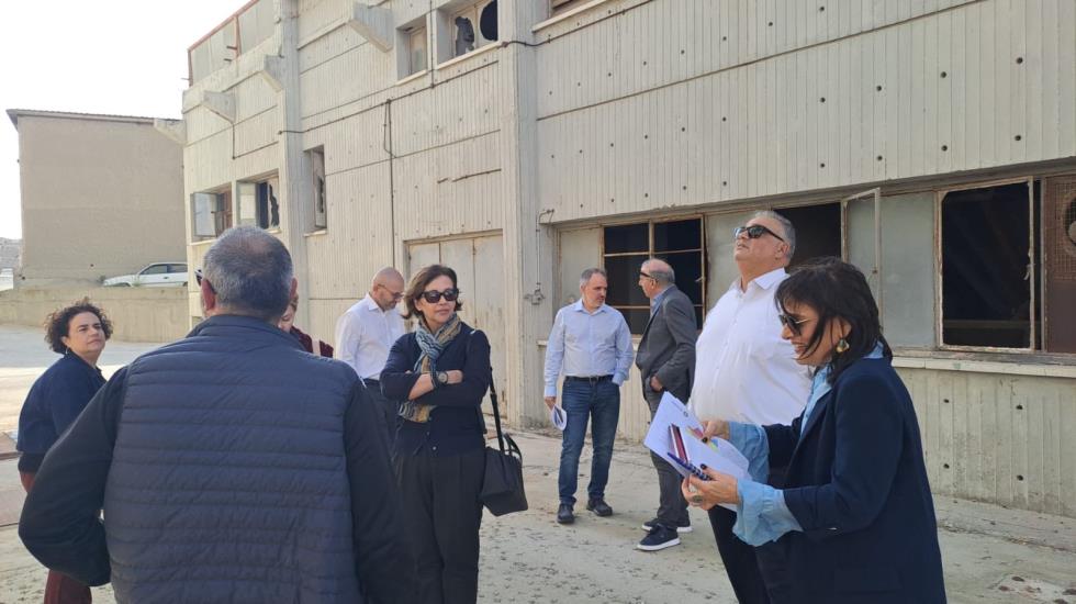 5333292954036051 image