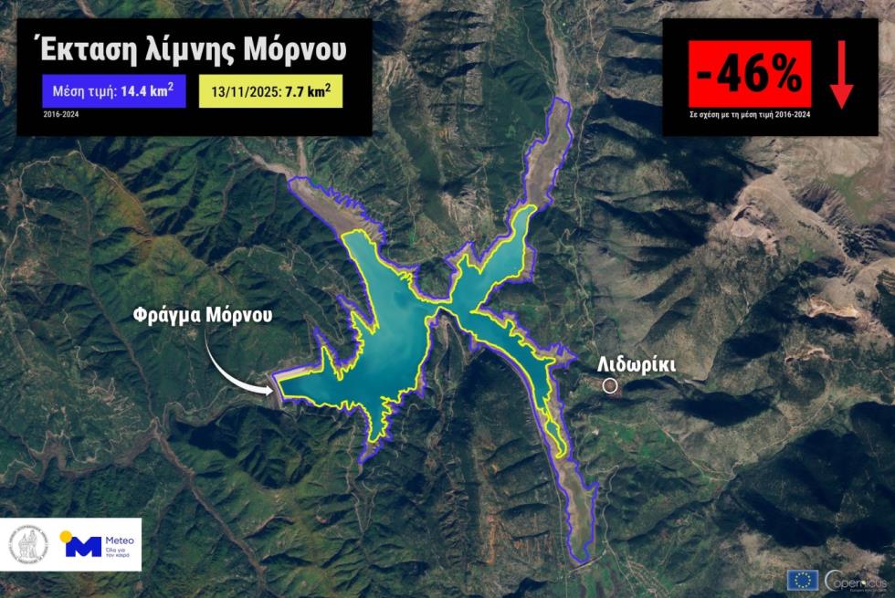 5334228170682061 image