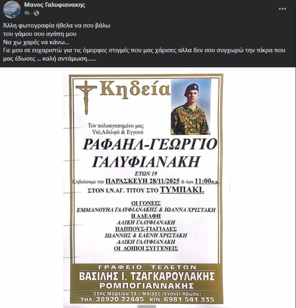 5334246091165385 image