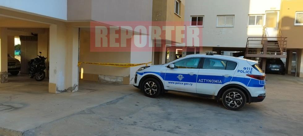 5334990841113783 image