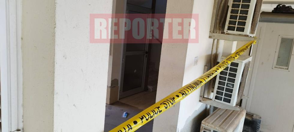 5334991785182055 image