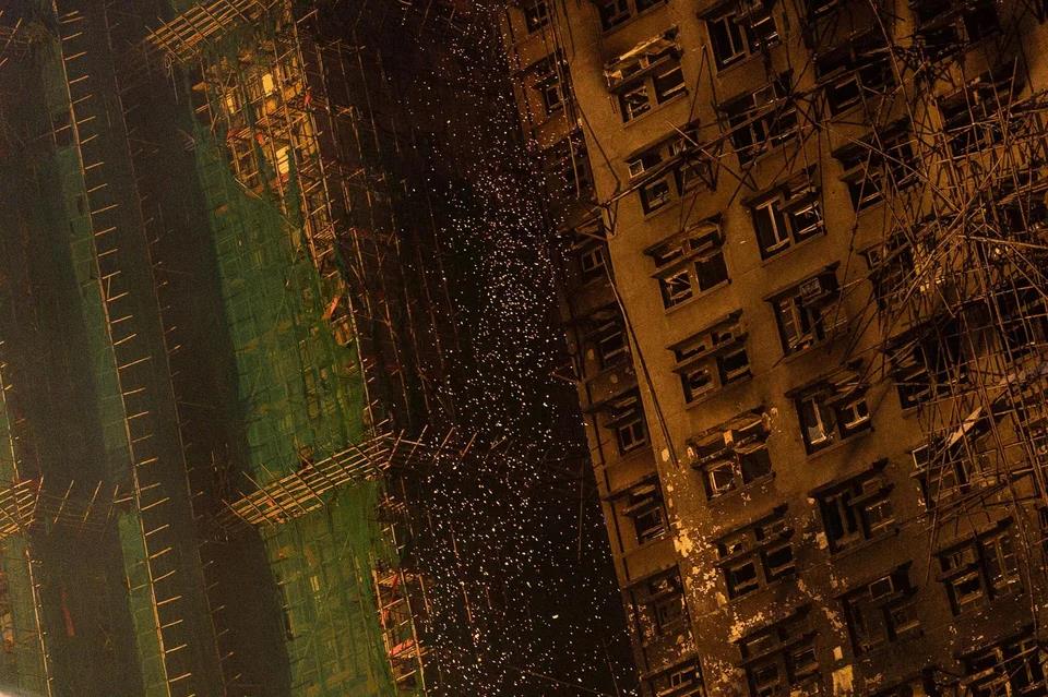 5335089032254288 image