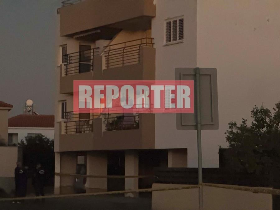 5335095774726155 image