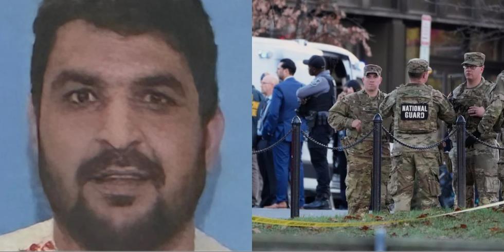 5335633629994277 image