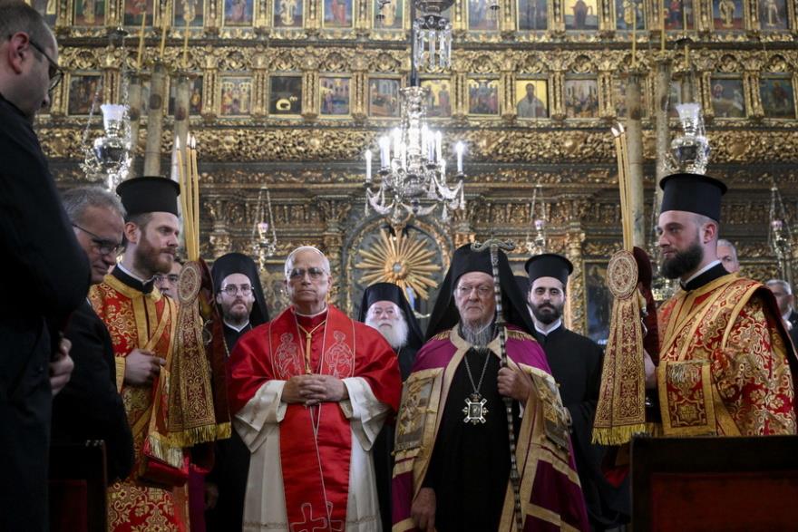 5336800817883652 image