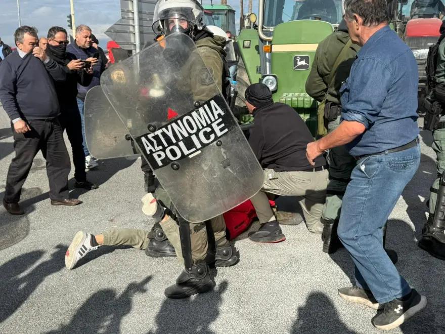 5337511129631688 image