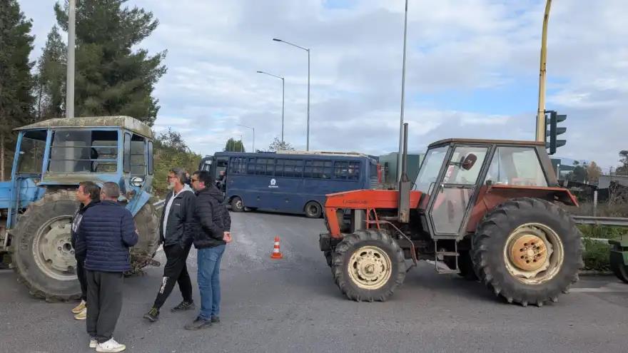 5337512528338954 image