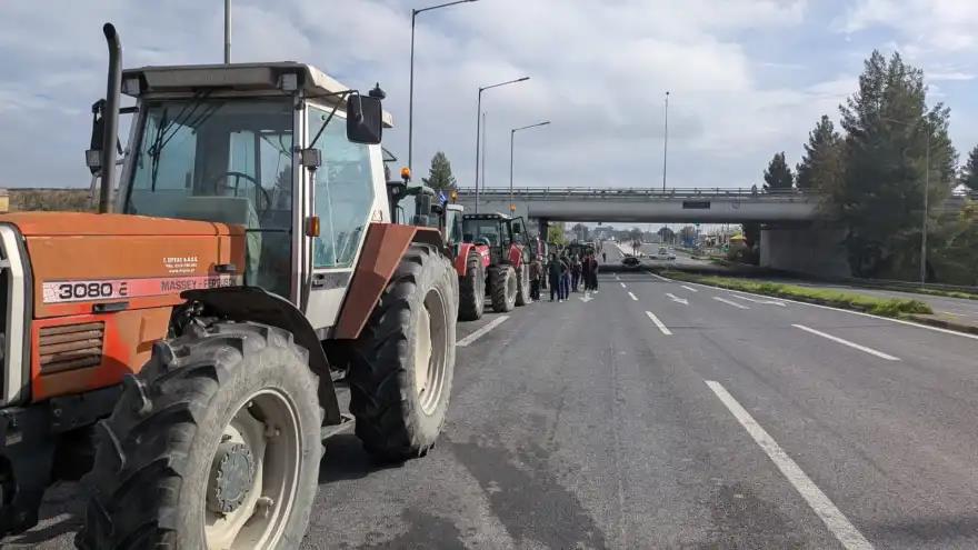 5337512677279892 image