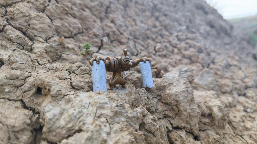 5337627480952548 image