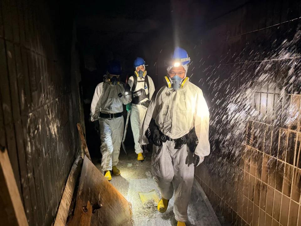 5337634287664193 image