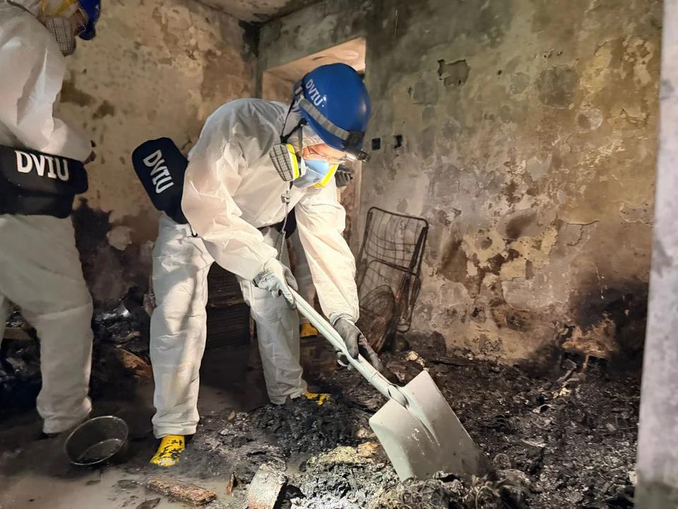 5337635154707613 image