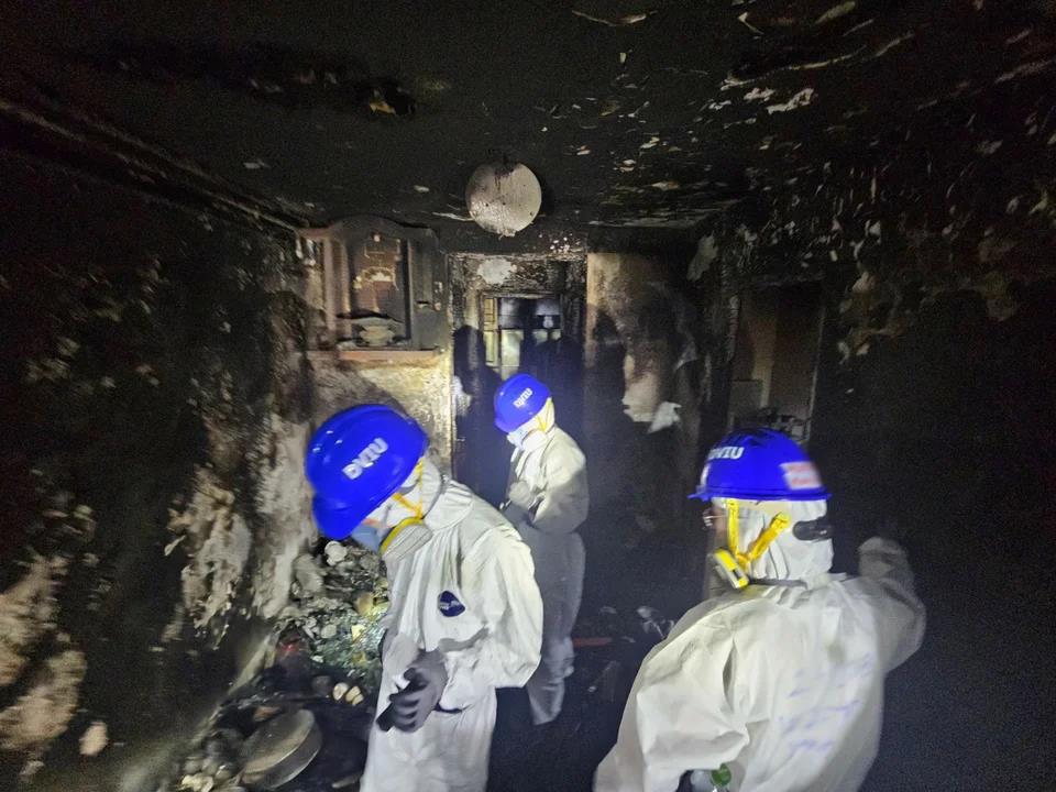 5337634621461608 image