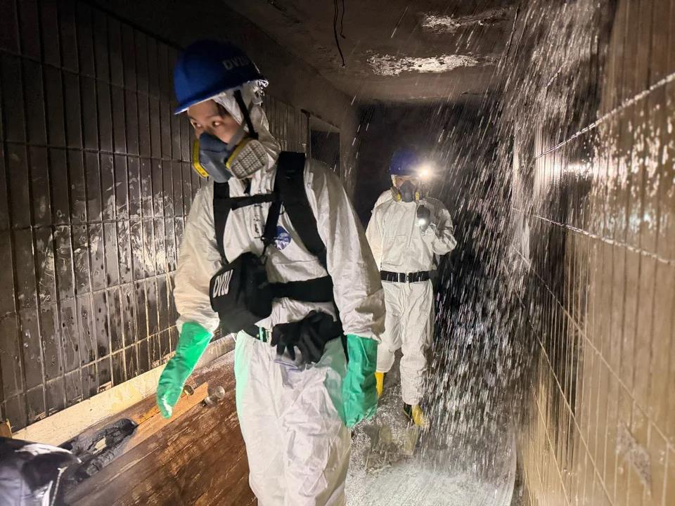 5337635013921940 image