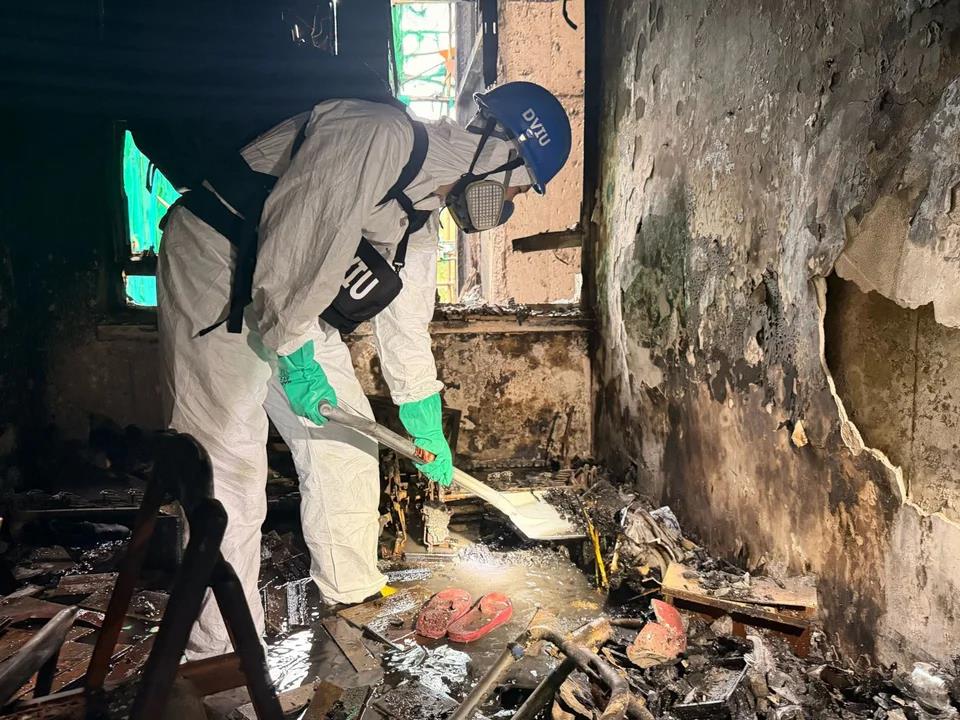 5337634816246229 image