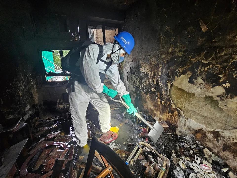 5337635519578730 image