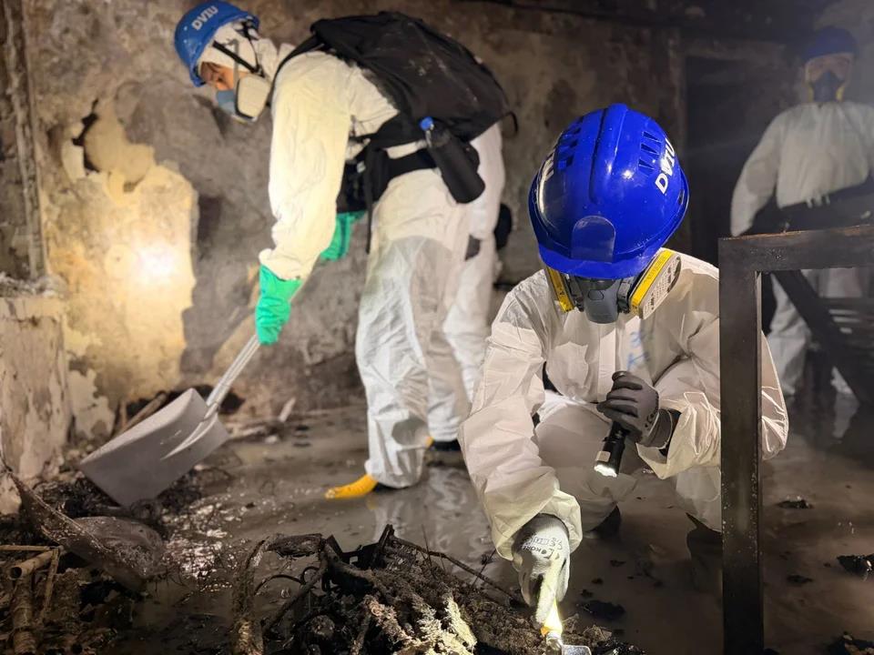 5337646376569712 image