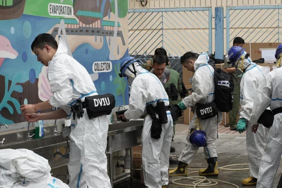 5337646518813278 image