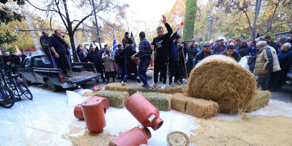 5339142808156553 image