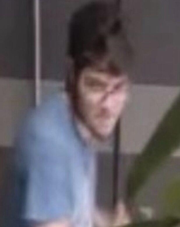 5340148681568314 image