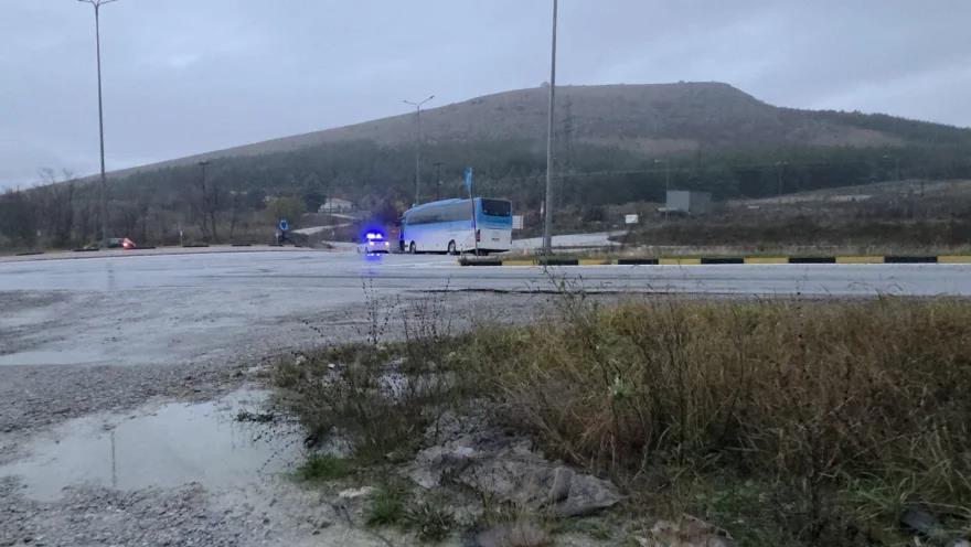 5340800543999806 image