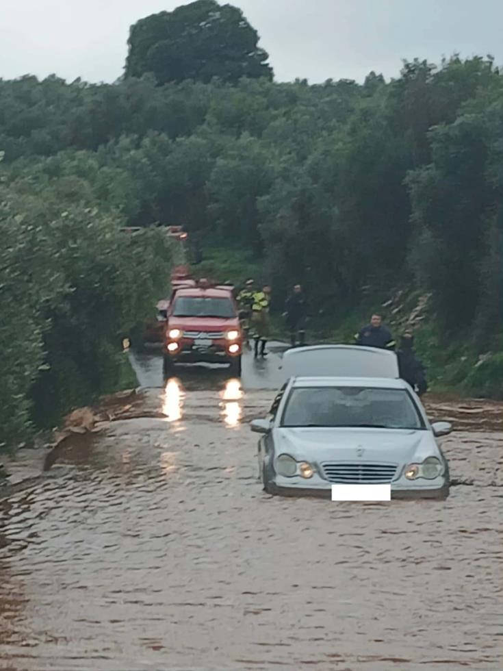 5341006653778457 image