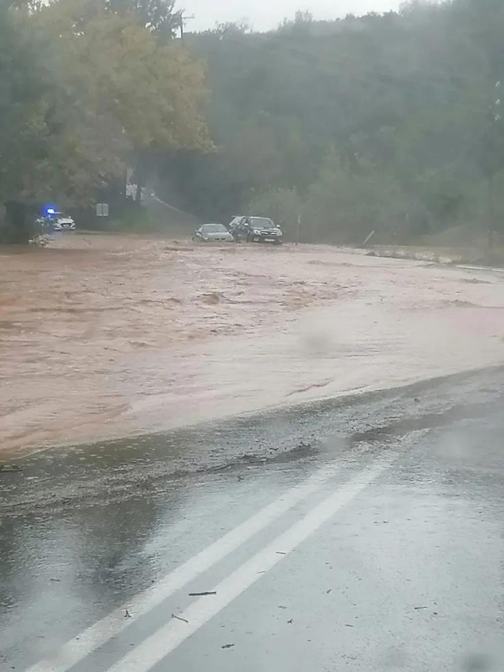 5341007578427270 image