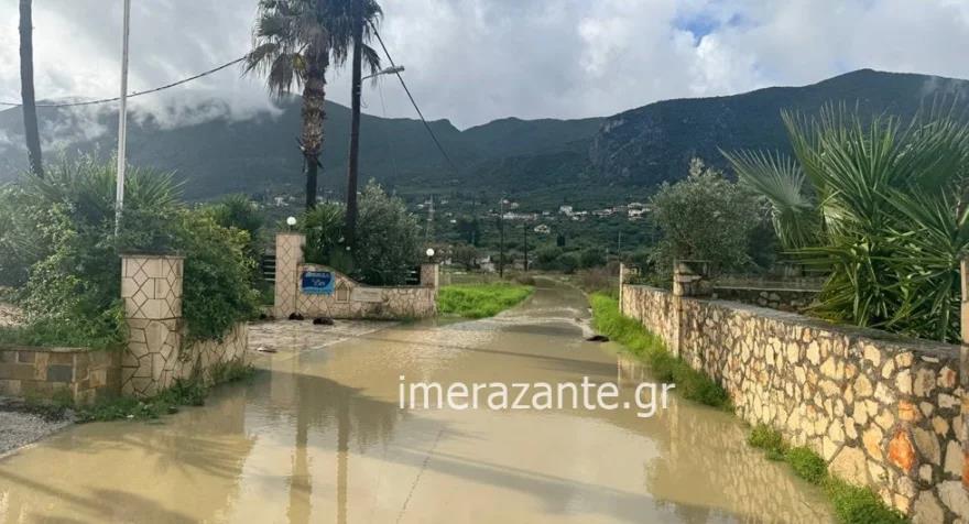 5341007748590779 image