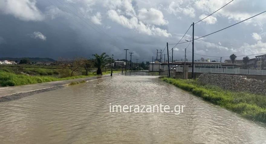 5341007819196809 image