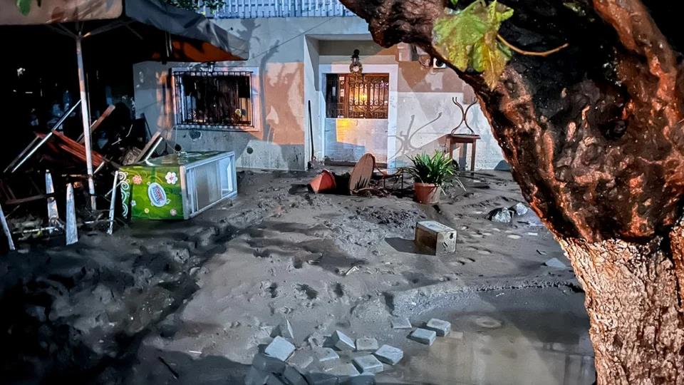 5341511146630704 image