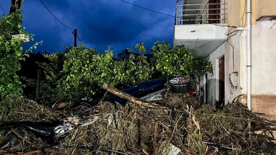 5341511297447444 image