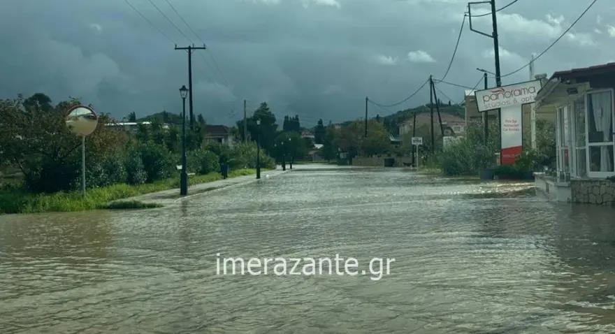 5341513433842737 image