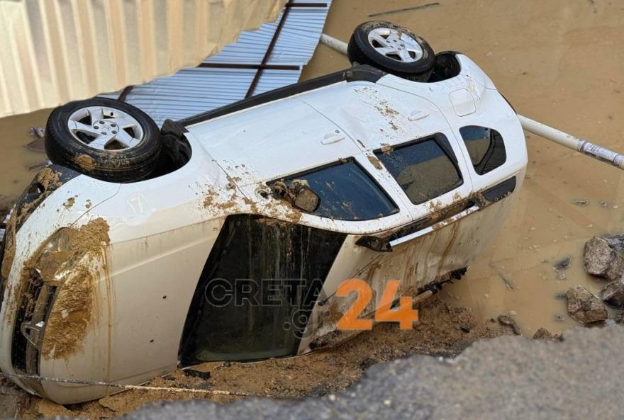 5341514127074611 image