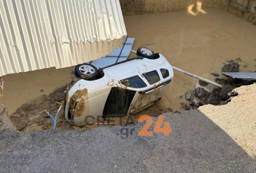 5341514185637351 image