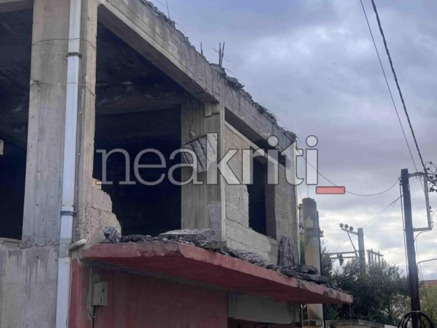 5341514299308074 image