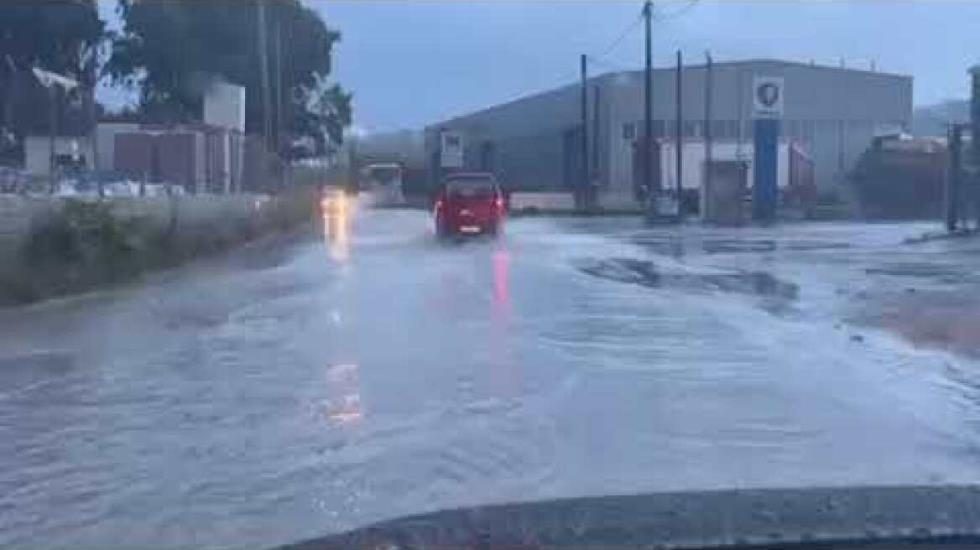 5341514529093644 image