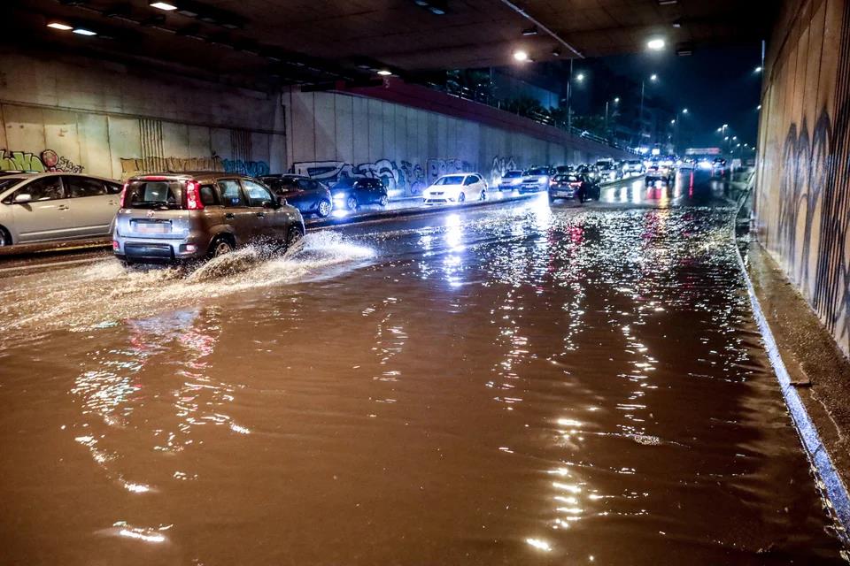 5341516571462439 image