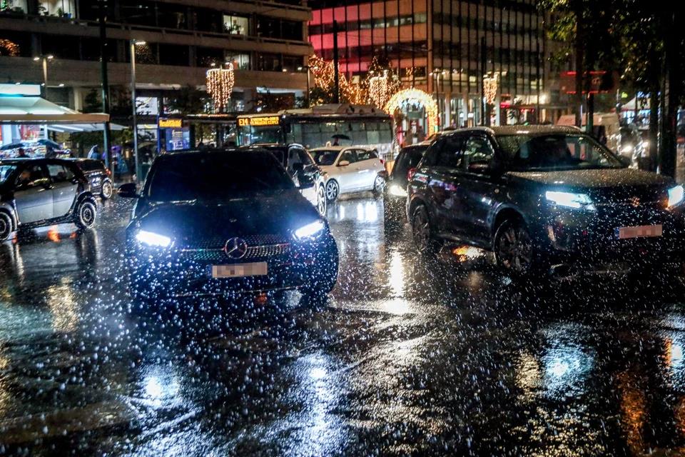 5341516831446677 image