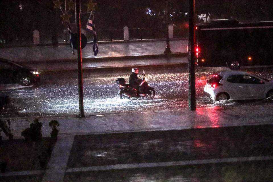 5341517009598226 image