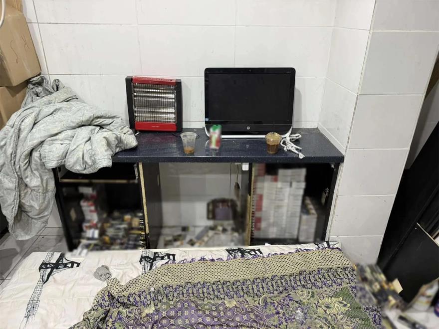 5341674213385853 image