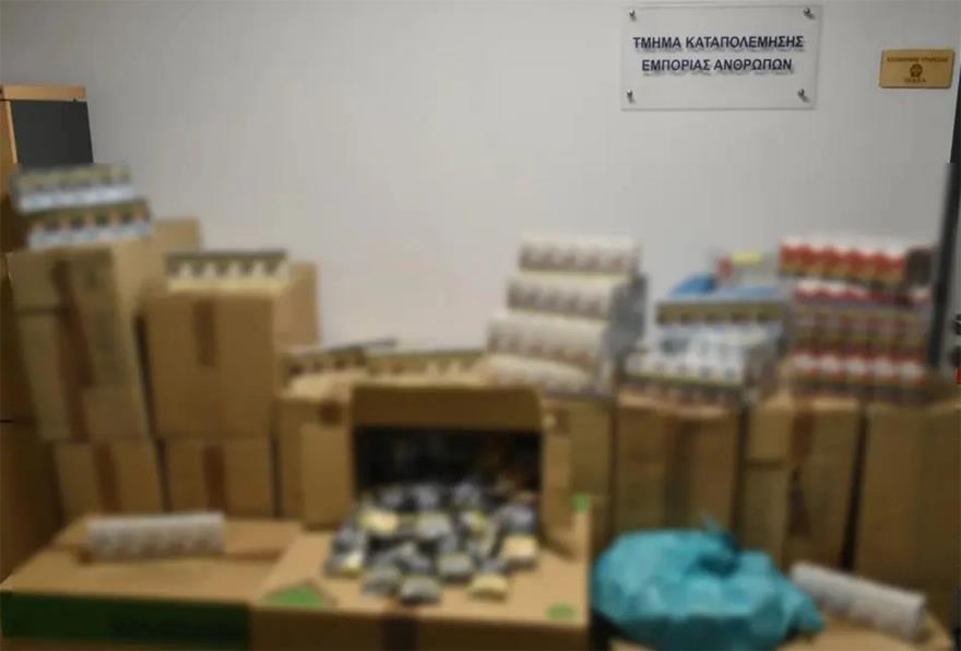 5341674459377300 image