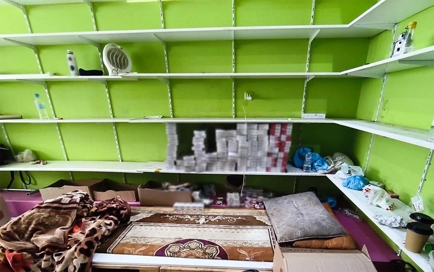 5341674524745495 image