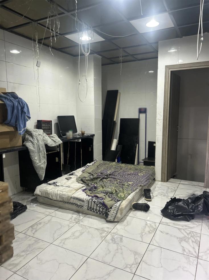 5341675265314084 image