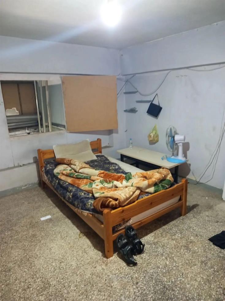 5341675492146640 image