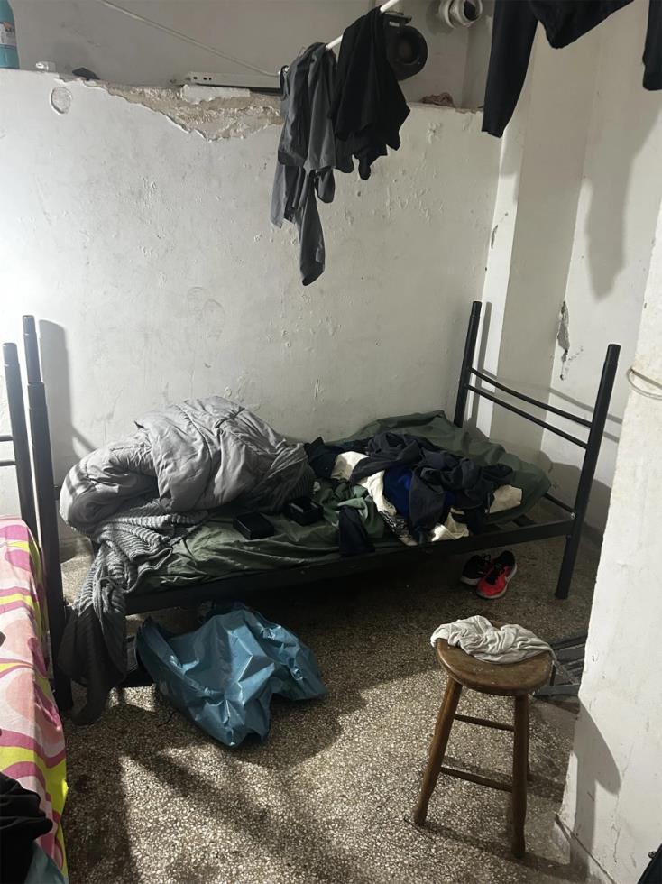 5341675852040257 image