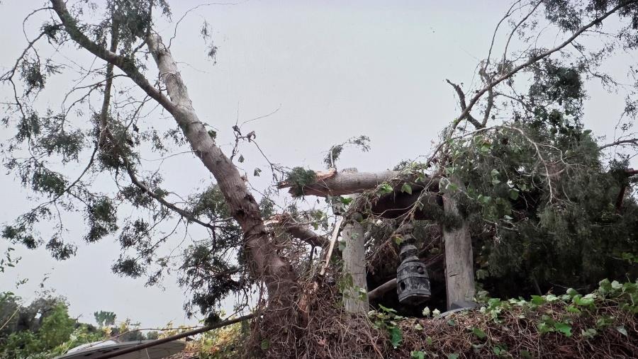 5342597158094586 DOC.20251206.9501470.talaanemostrovilos