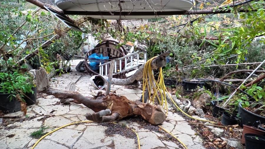 5342597243406516 DOC.20251206.9501471.talaanemostrovilos1