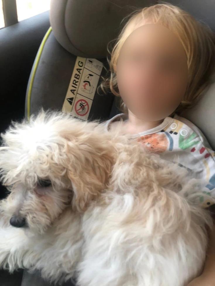 5343523310849438 image